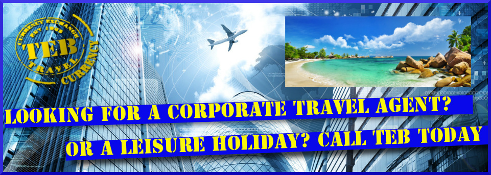looking for a travel agent?
